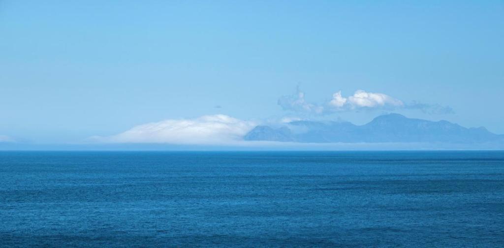 Tweede Boom * Cape Town